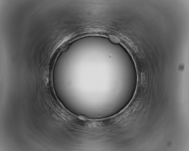 X0000100941165200807011238