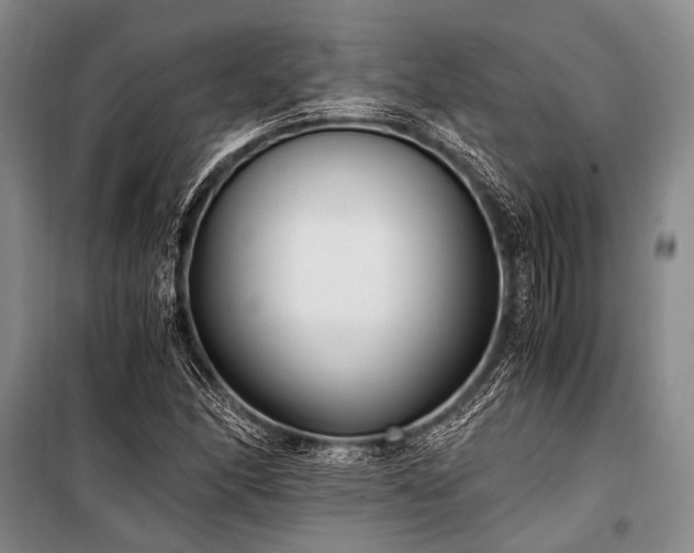 X0000100941166200807011238