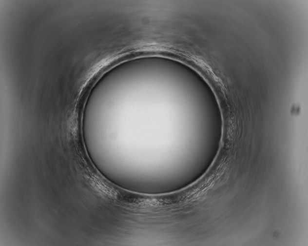 X0000100941167200807011238