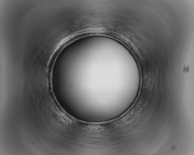 X0000100941168200807011238