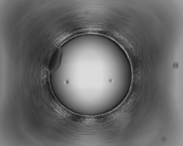 X0000100941169200807011238