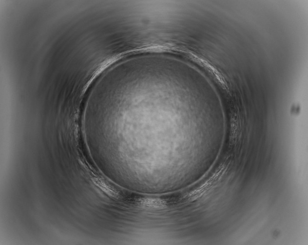 X0000100941170200807011238