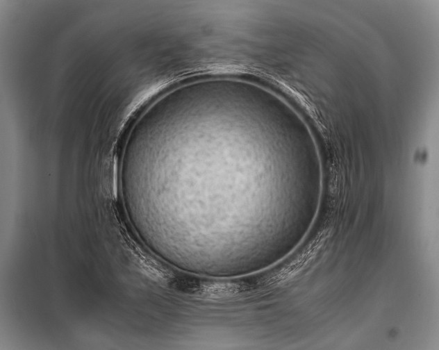 X0000100941171200807011238