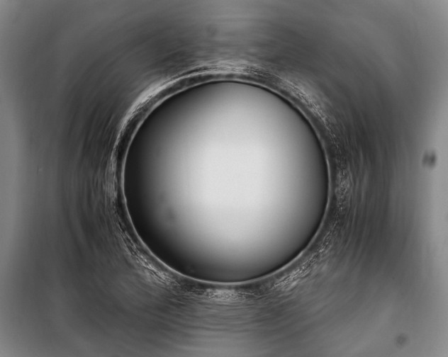 X0000100941172200807011238