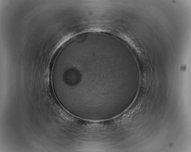 X0000100941173200807011238