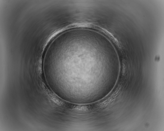 X0000100941174200807011238