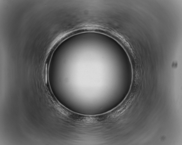 X0000100941175200807011238