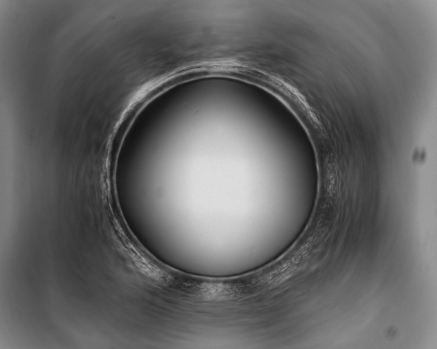 X0000100941176200807011238