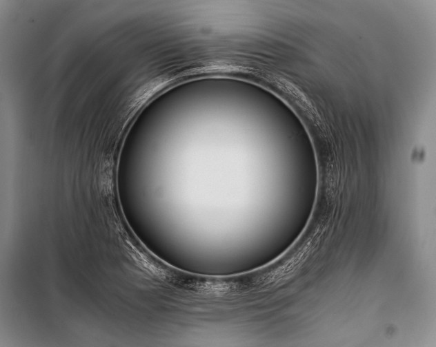 X0000100941177200807011238