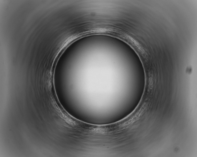 X0000100941178200807011238