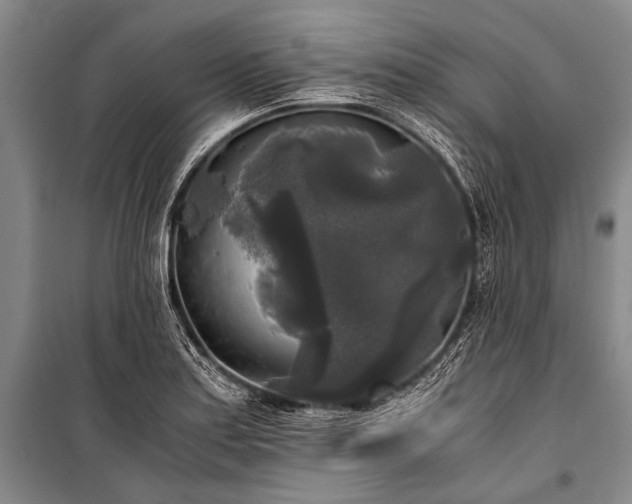 X0000100941179200807011238