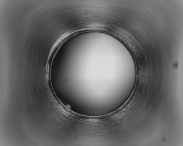 X0000100941180200807011238