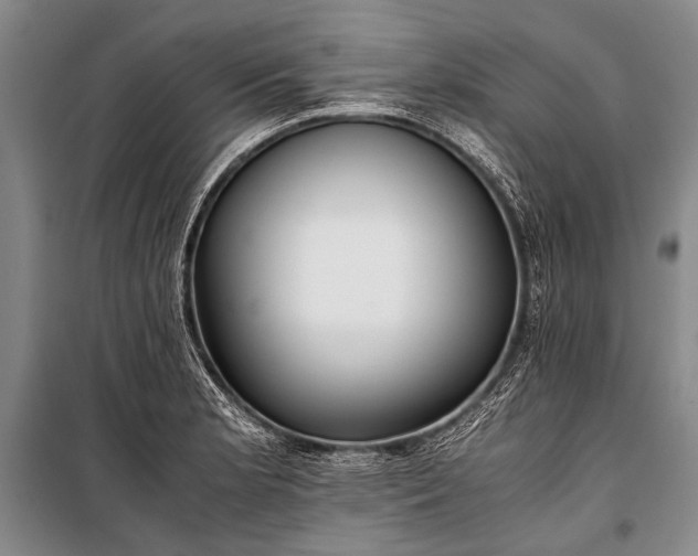 X0000100941181200807011238