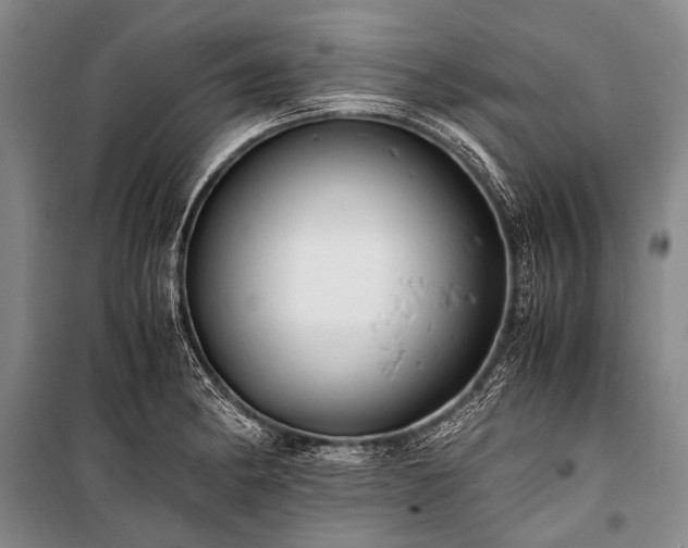 X0000100941182200807011238