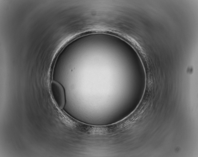 X0000100941183200807011238