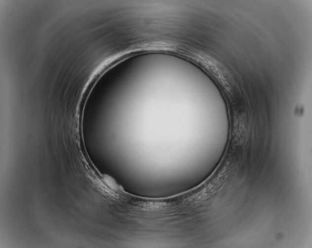 X0000100941184200807011237