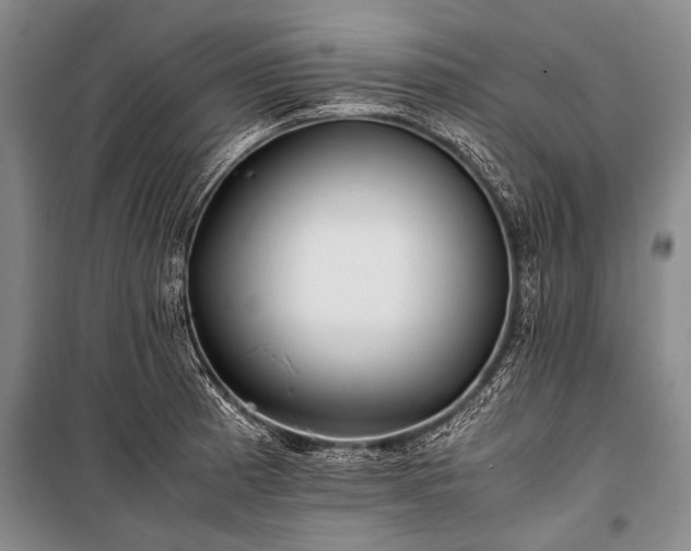 X0000100941185200807011237