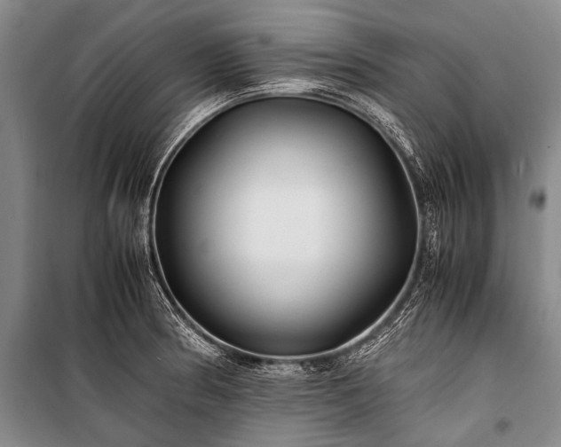 X0000100941186200807011237