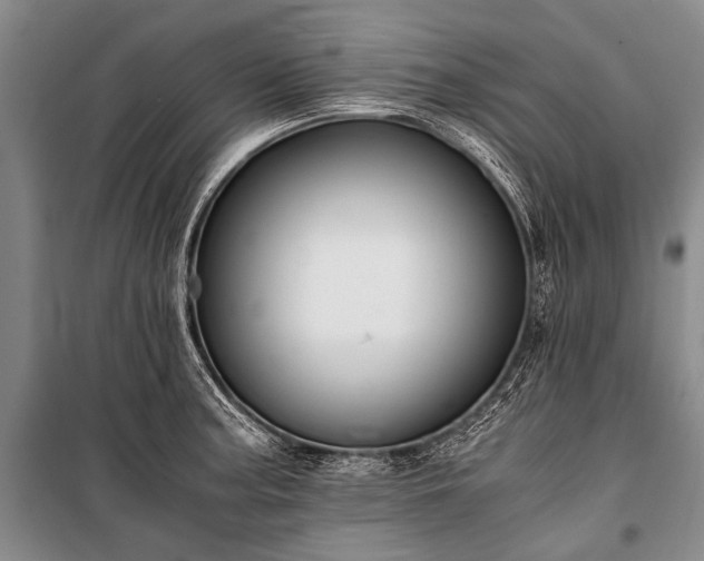 X0000100941187200807011237