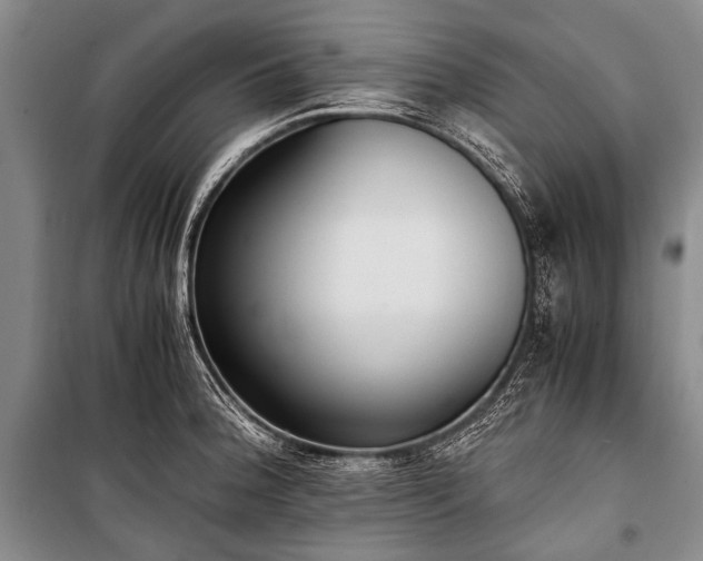 X0000100941188200807011237