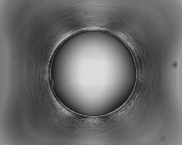 X0000100941189200807011237