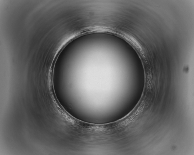 X0000100941190200807011237