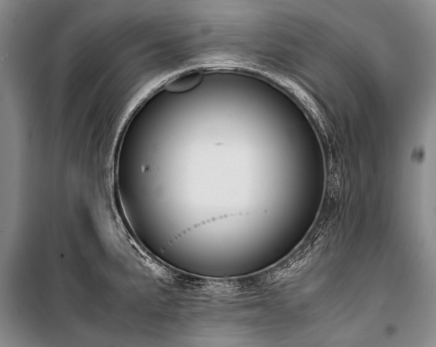 X0000100941191200807011237