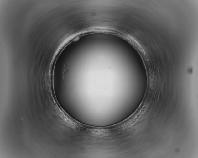 X0000100941192200807011237