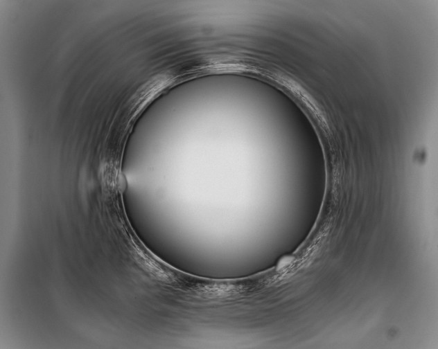 X0000100941193200807011237