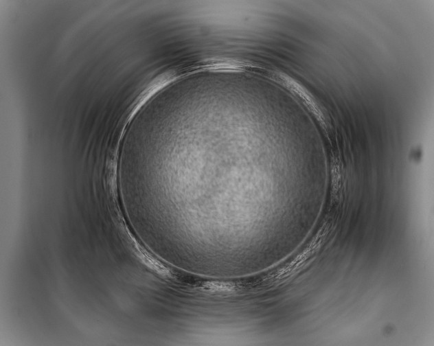 X0000100941194200807011237