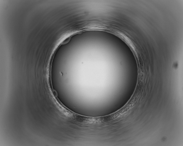 X0000100941195200807011237