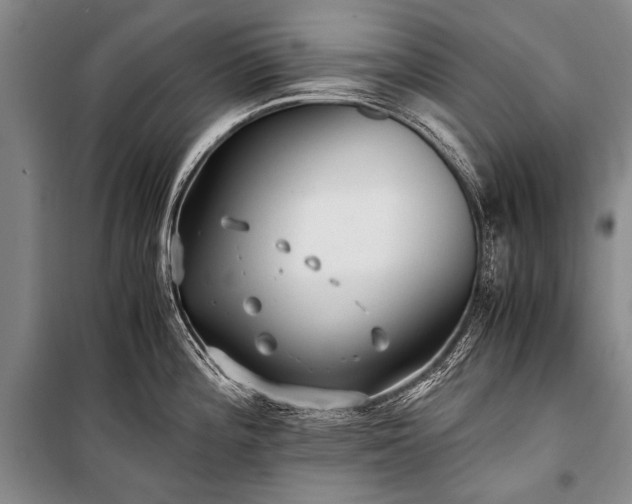 X0000100941196200807011237