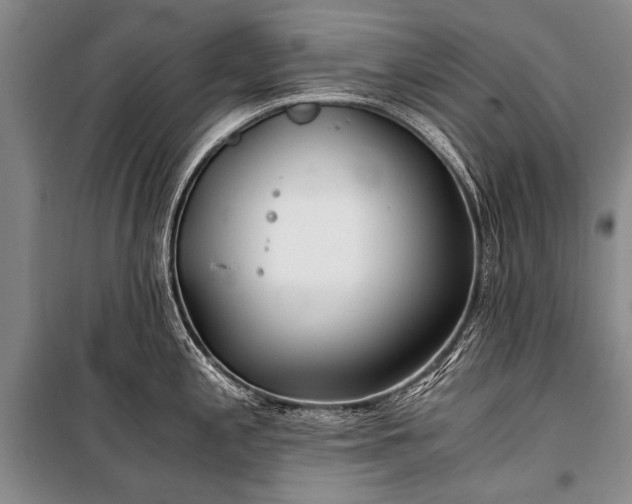 X0000100941197200807011237