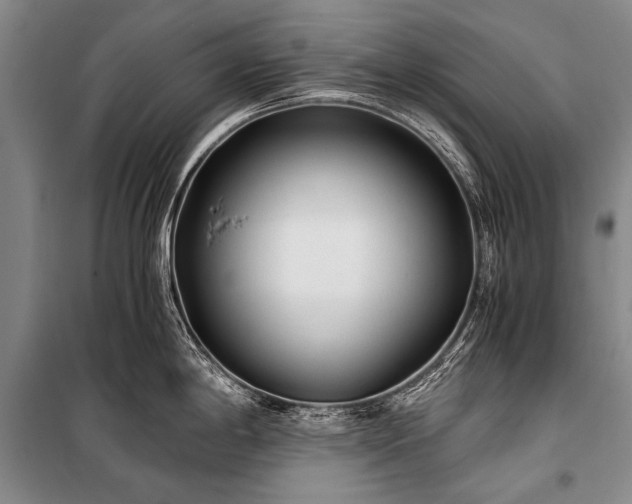 X0000100941198200807011237