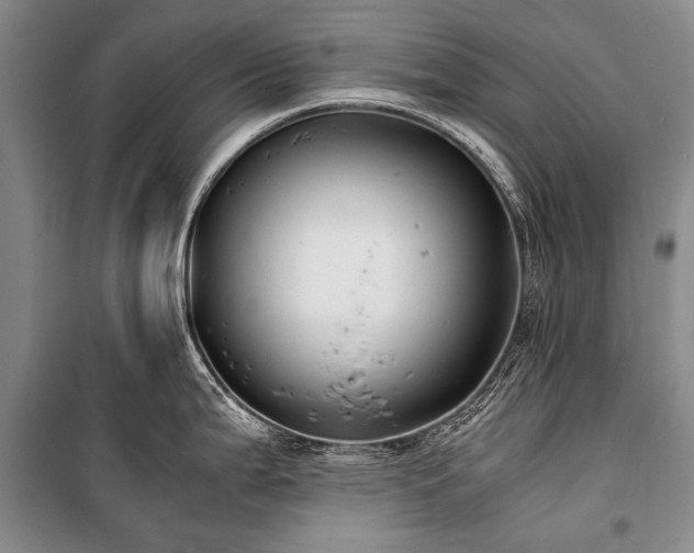 X0000100941199200807011237