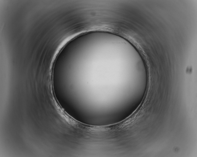 X0000100941200200807011237