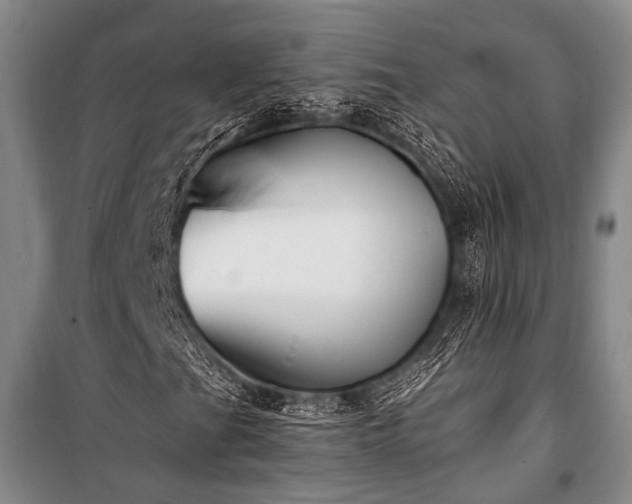 X0000100941201200807011237