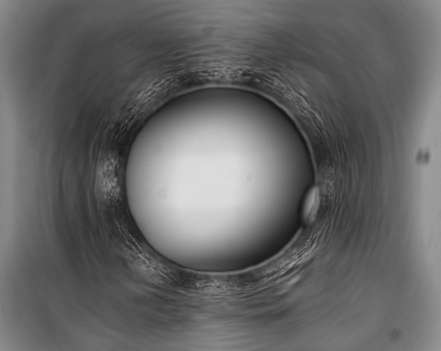 X0000100941202200807011237