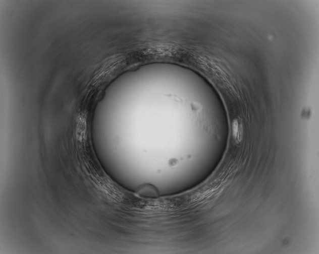 X0000100941203200807011237