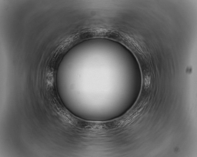 X0000100941204200807011237