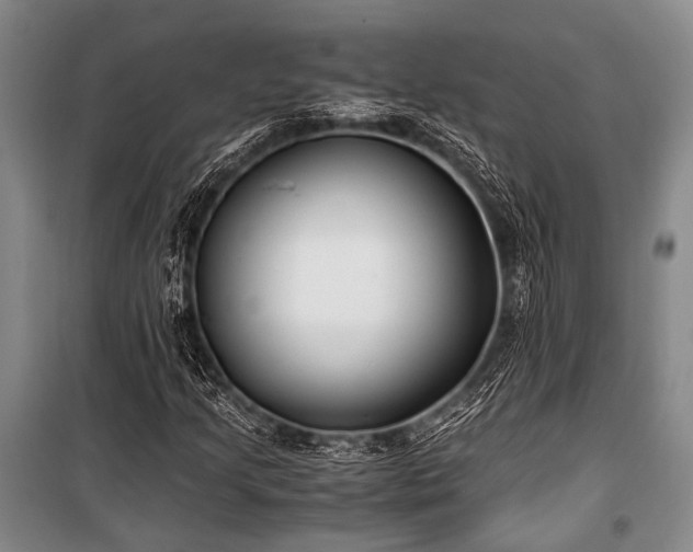 X0000100941205200807011237