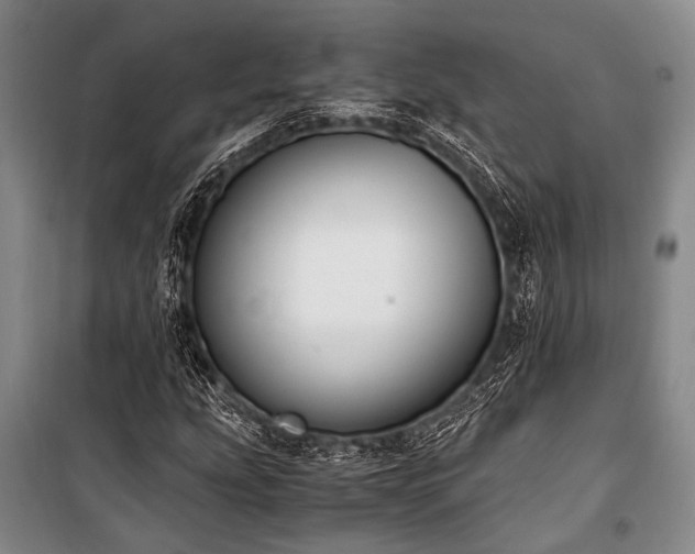 X0000100941207200807011237