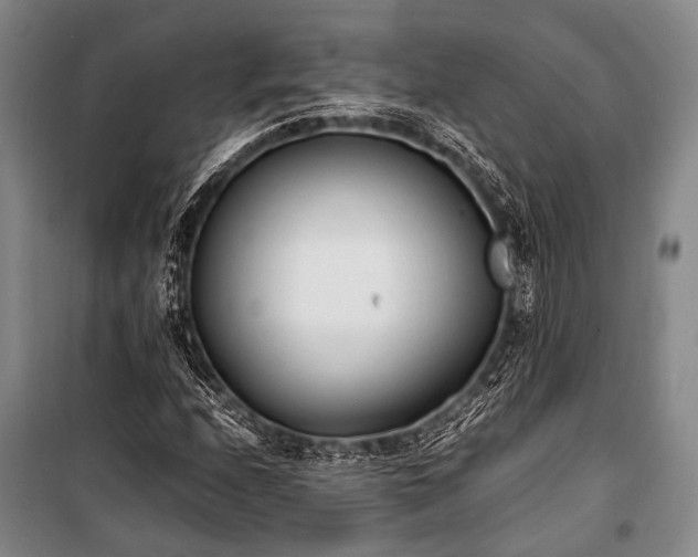 X0000100941208200807011237