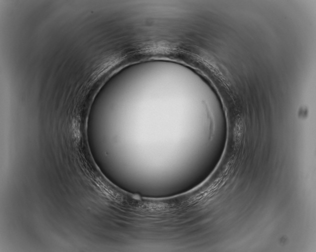 X0000100941209200807011237