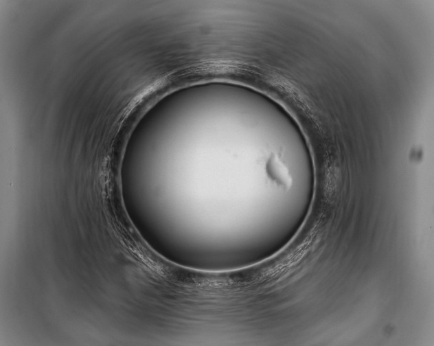 X0000100941210200807011237