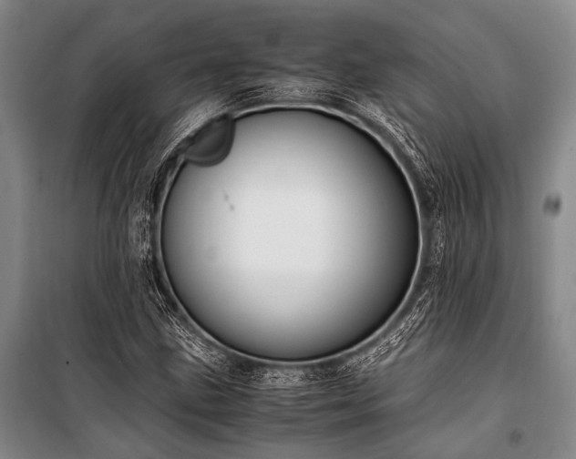 X0000100941211200807011237