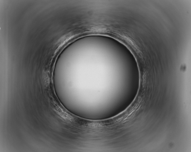 X0000100941212200807011237