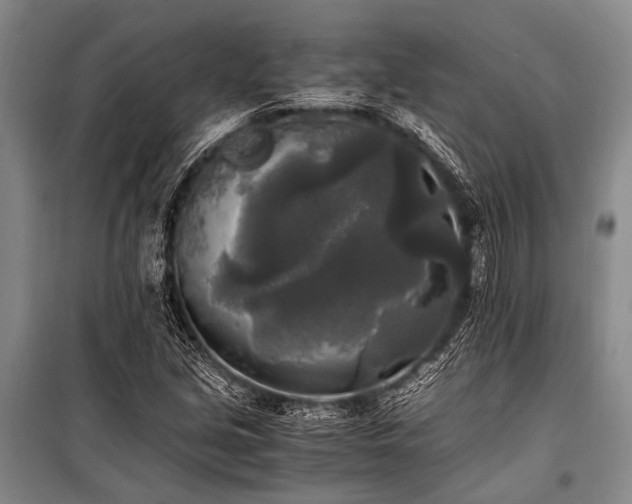 X0000100941213200807011237