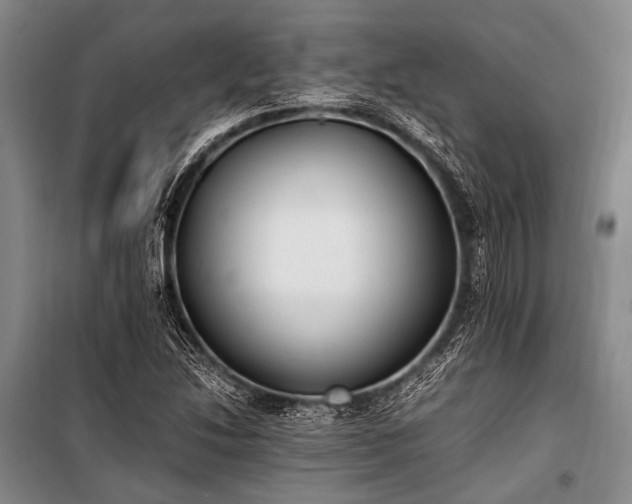 X0000100941214200807011237