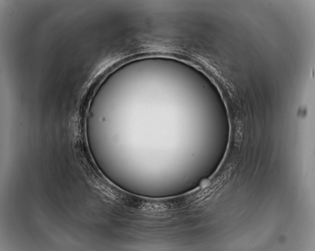 X0000100941215200807011237